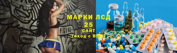 спиды Аркадак