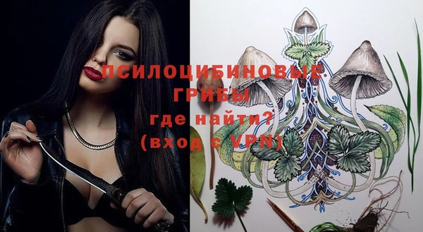 спиды Аркадак
