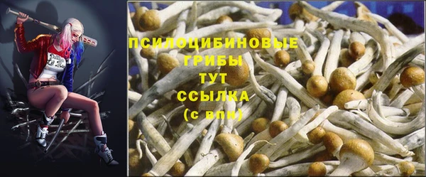 спиды Аркадак