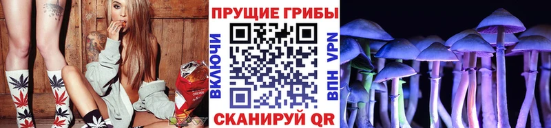 Галлюциногенные грибы MAGIC MUSHROOMS  Бежецк 